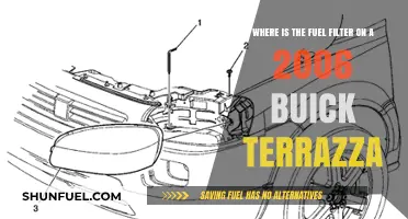 Buick Terazza Fuel Filter: Location and Access