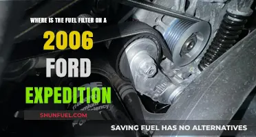 Ford Expedition Fuel Filter Location Guide