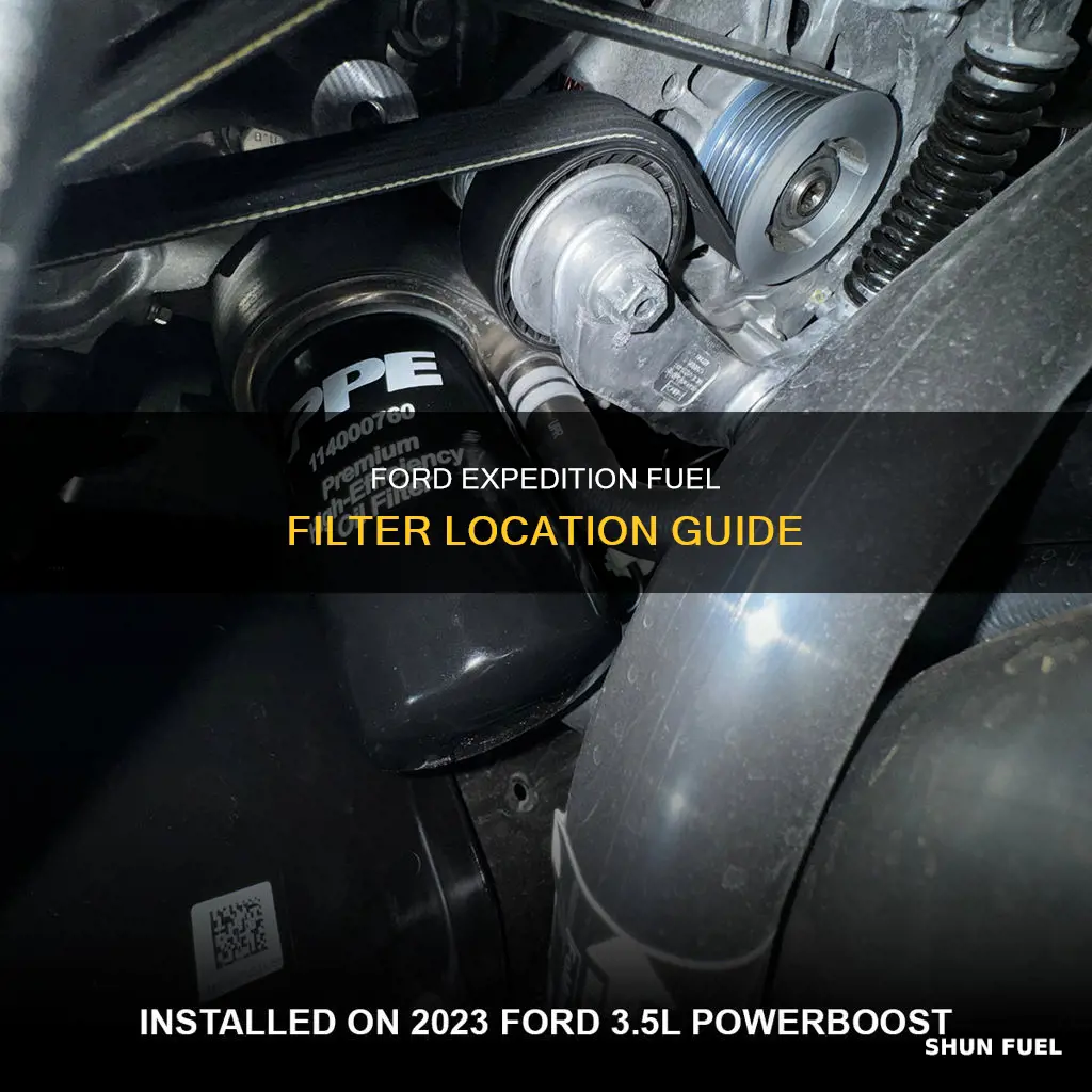 where is the fuel filter on a 2006 ford expedition