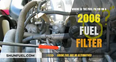 Locating the Fuel Filter: 2006 Edition