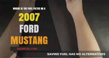 Locating the Fuel Filter in Your 2007 Ford Mustang