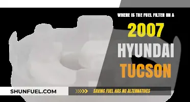 Hyundai Tucson 2007: Fuel Filter Location and Access