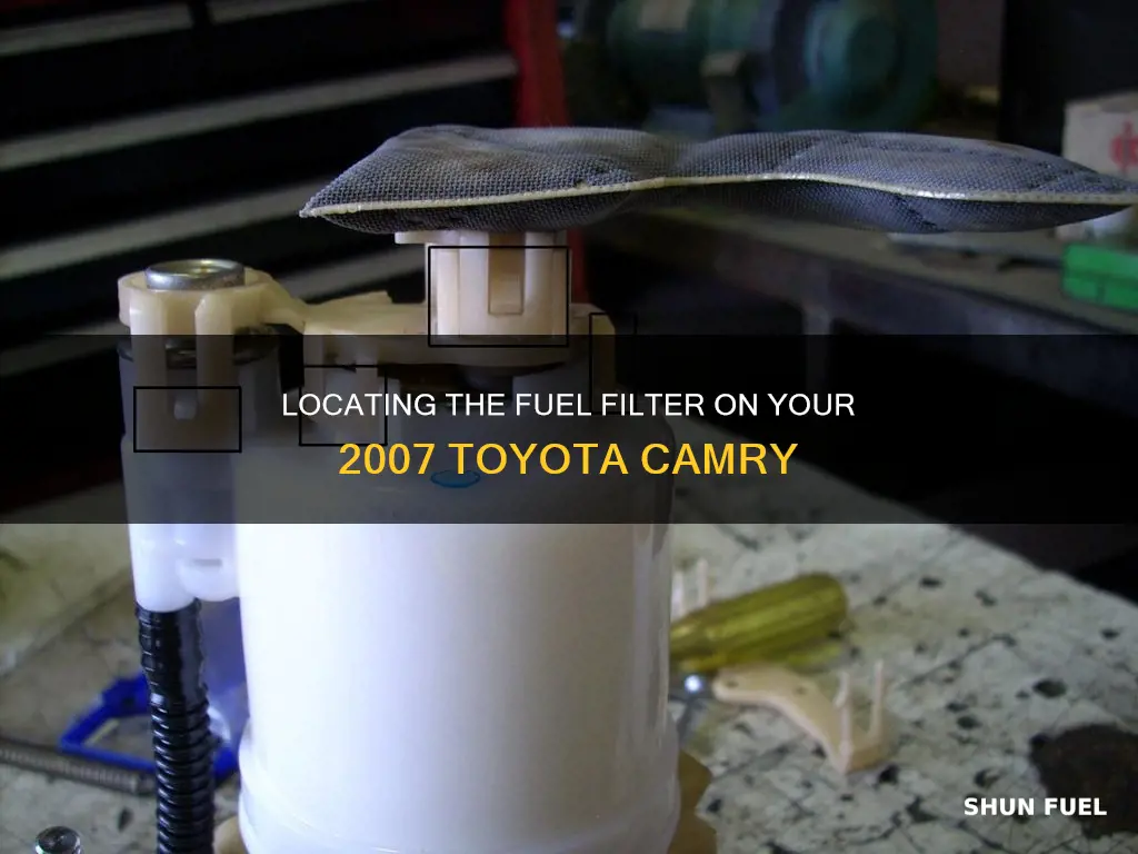 where is the fuel filter on a 2007 toyota camry