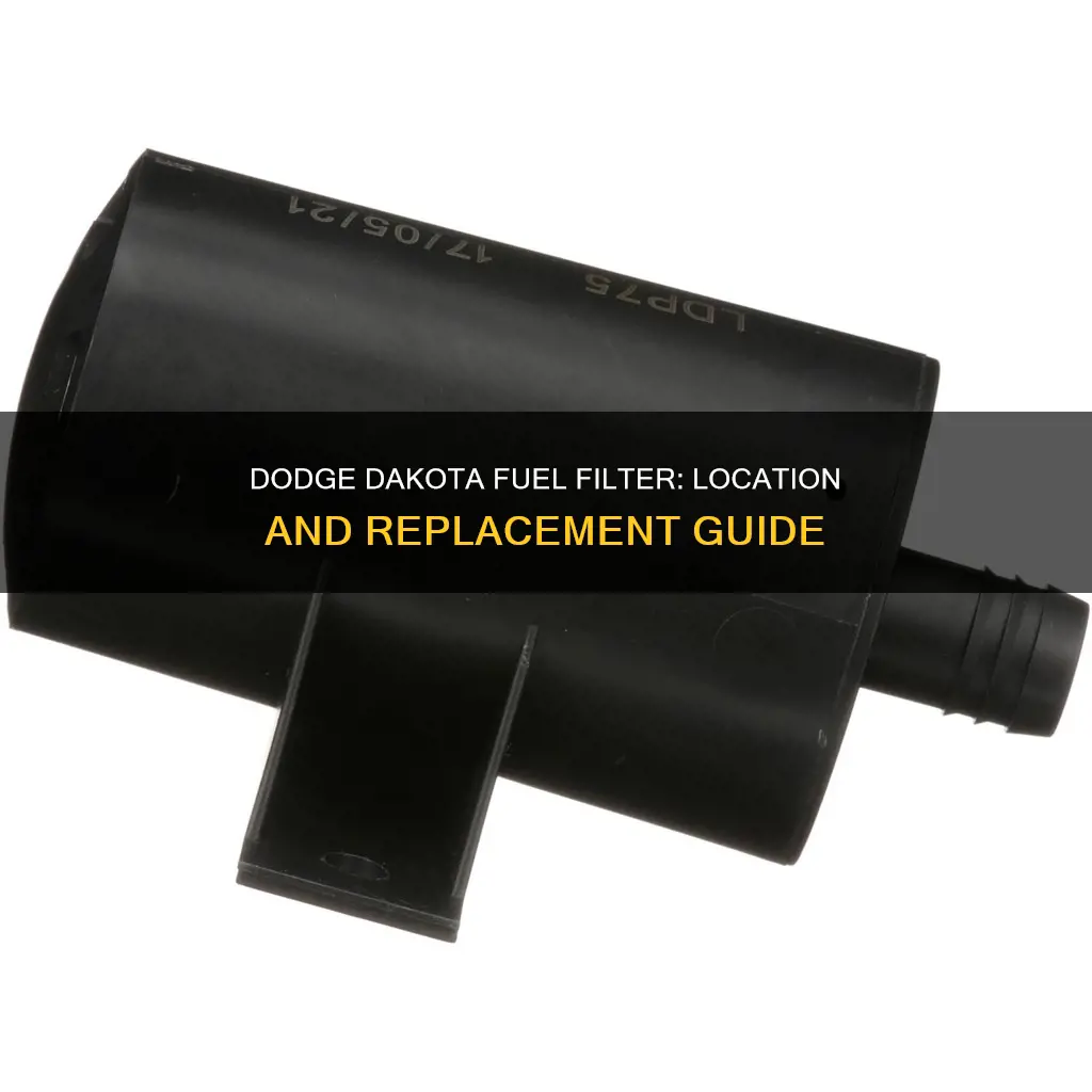 where is the fuel filter on a 2008 dodge dakota