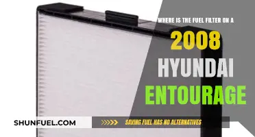 Fuel Filter Location in 2008 Hyundai Entourage