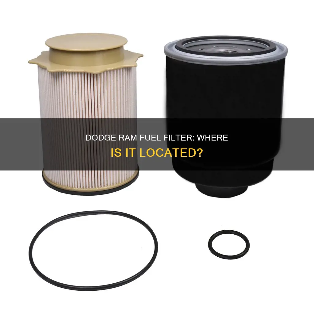 where is the fuel filter on a 2009 dodge ram
