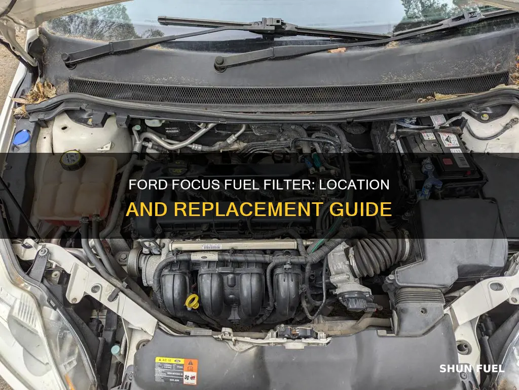 where is the fuel filter on a 2009 ford focus