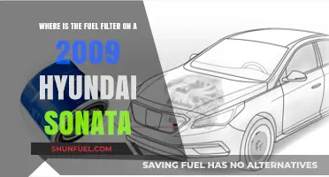 Hyundai Sonata Fuel Filter: Location and Access