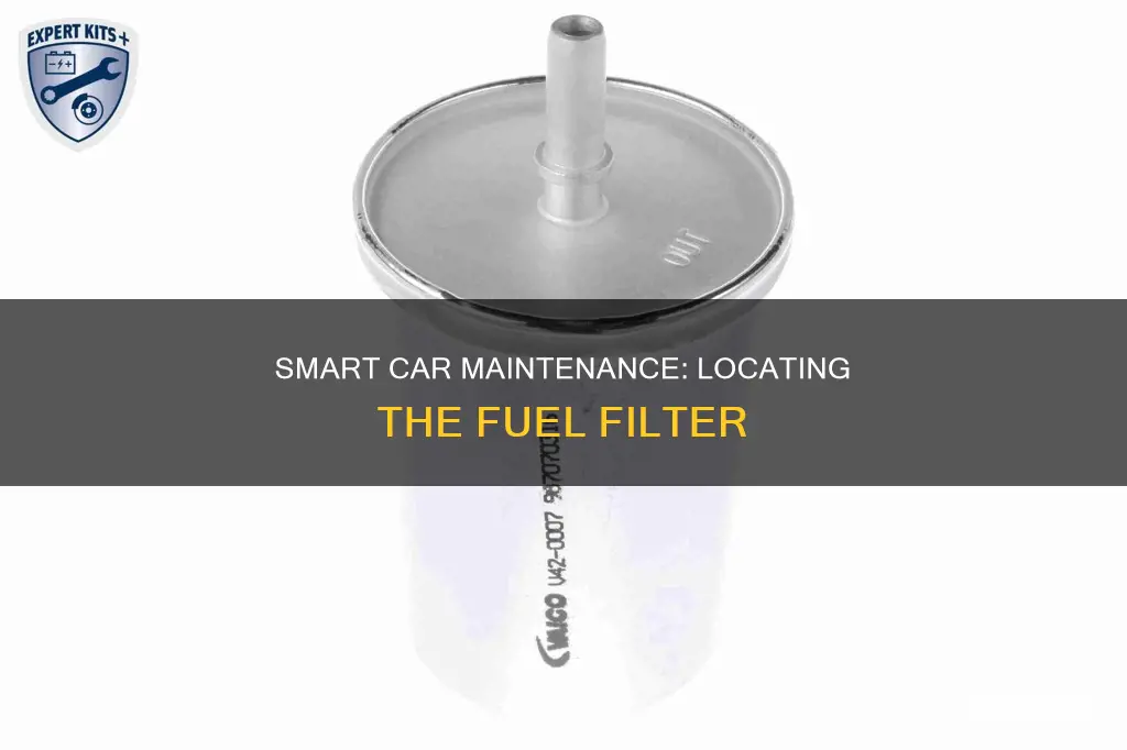 where is the fuel filter on a 2009 smart car