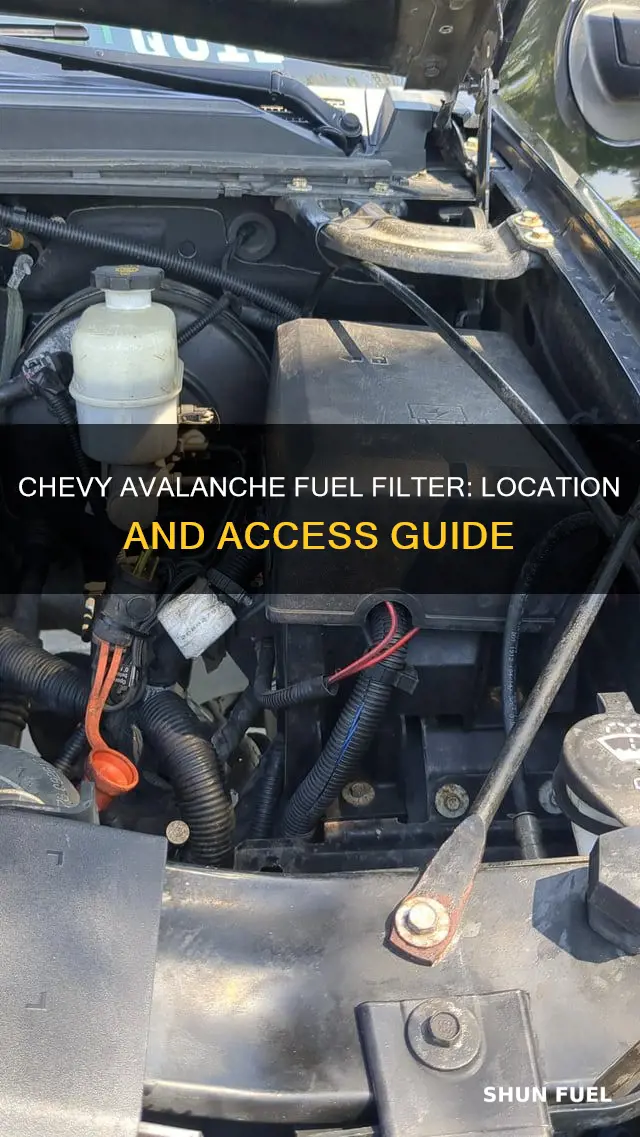 where is the fuel filter on a 2010 chevy avalanche
