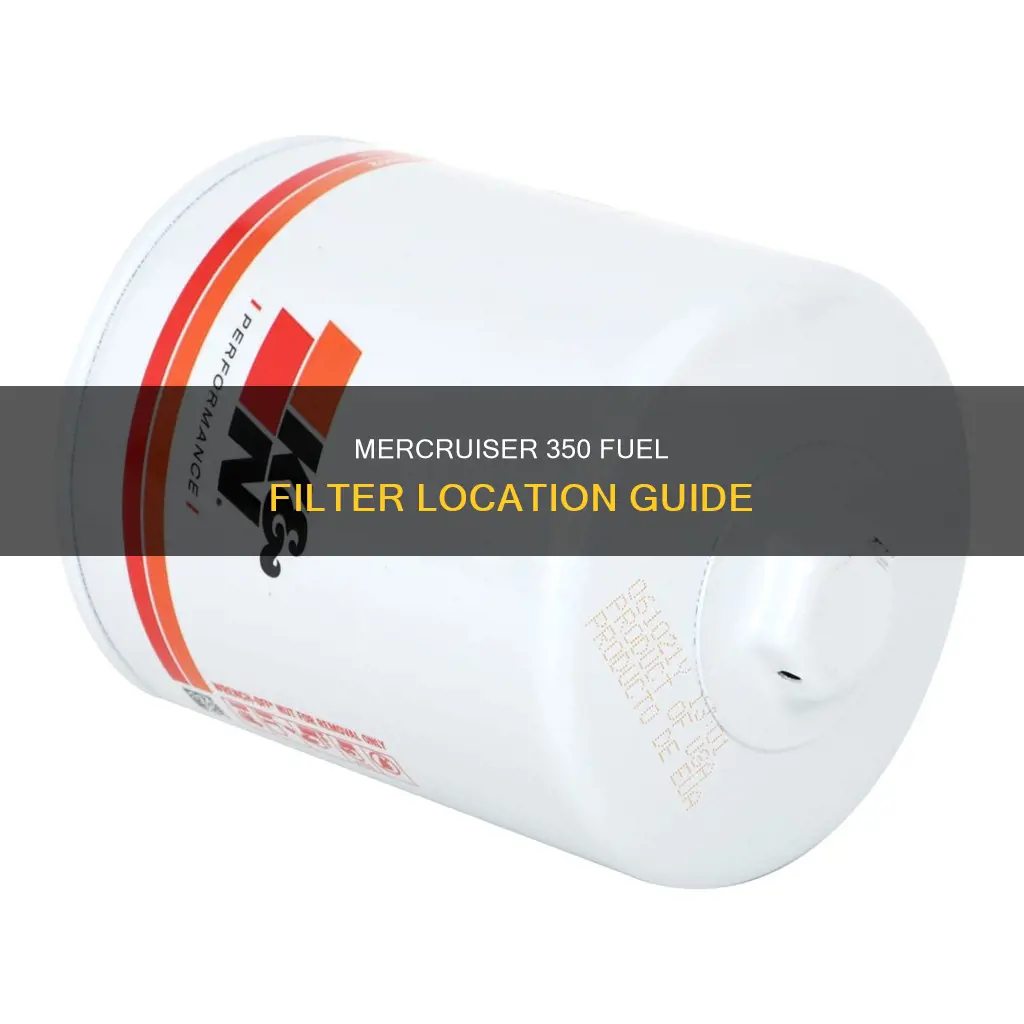 where is the fuel filter on a 350 mercruiser