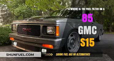 Finding the Fuel Filter: 1985 GMC S15
