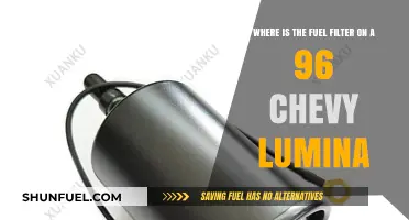 Finding the Fuel Filter: 96 Chevy Lumina Guide