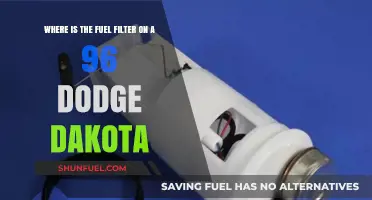 Locating the Fuel Filter in a 96 Dodge Dakota