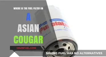 Fuel Filter Location in an Asian Cougar