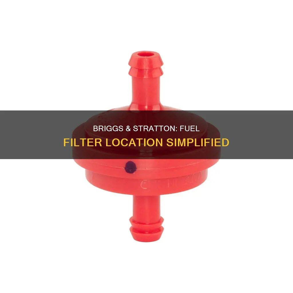 where is the fuel filter on a briggs &amp