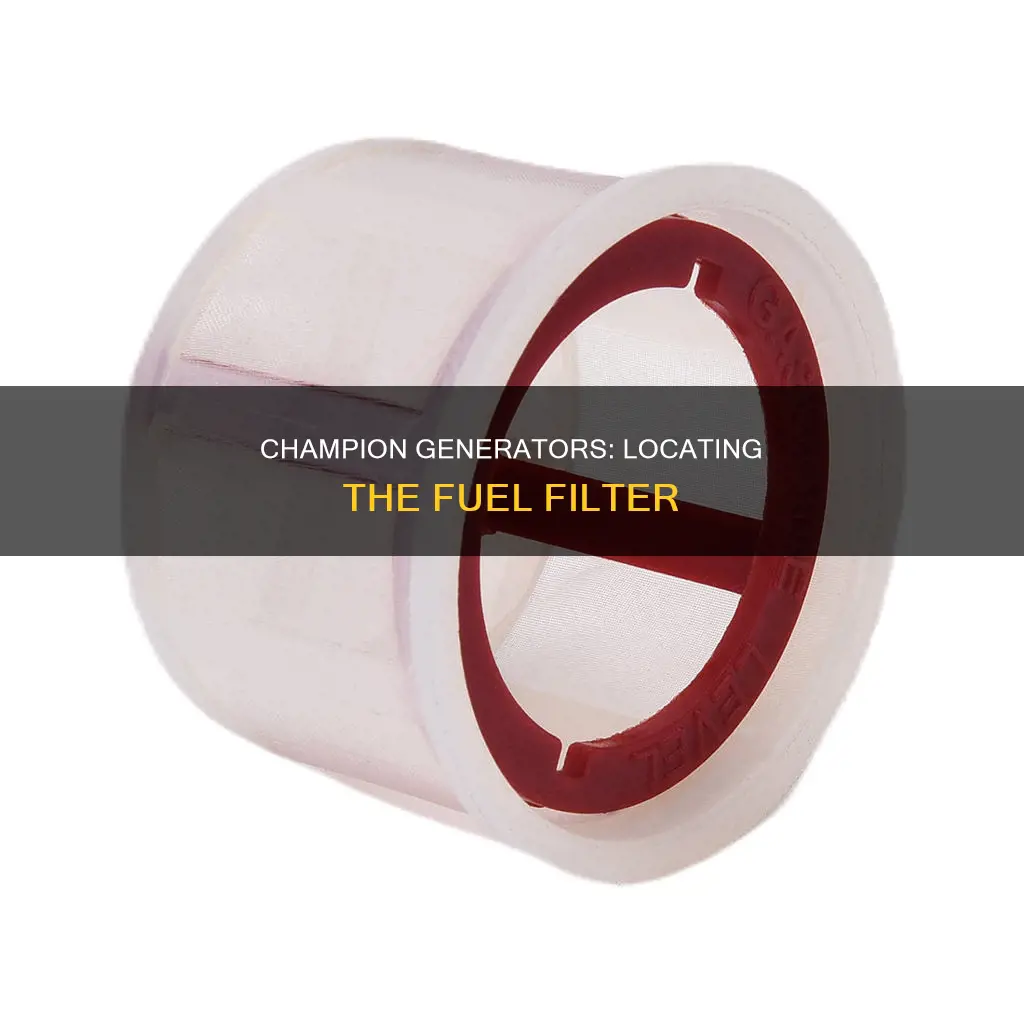 where is the fuel filter on a champion generator