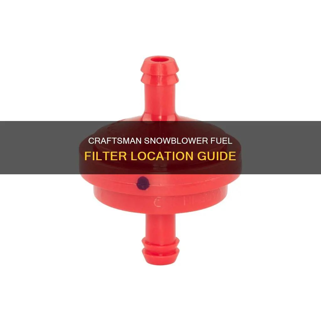 where is the fuel filter on a craftsman snowblower