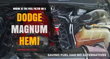 Locating the Fuel Filter in Your Dodge Magnum Hemi