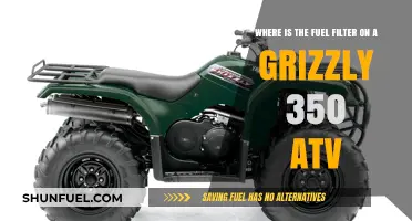 Locating the Fuel Filter on a Grizzly 350 ATV