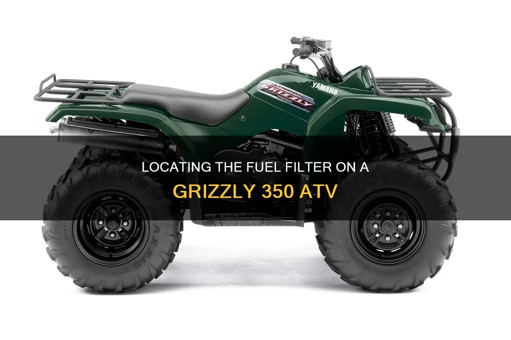 where is the fuel filter on a grizzly 350 atv