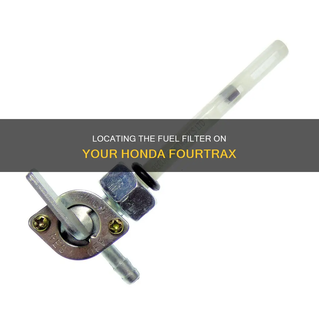 where is the fuel filter on a honda fourtrax