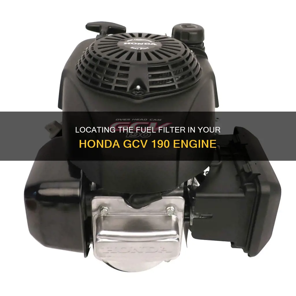 where is the fuel filter on a honda gcv 190