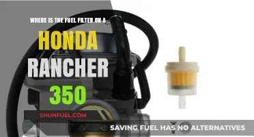 Locating the Fuel Filter in Your Honda Rancher 350