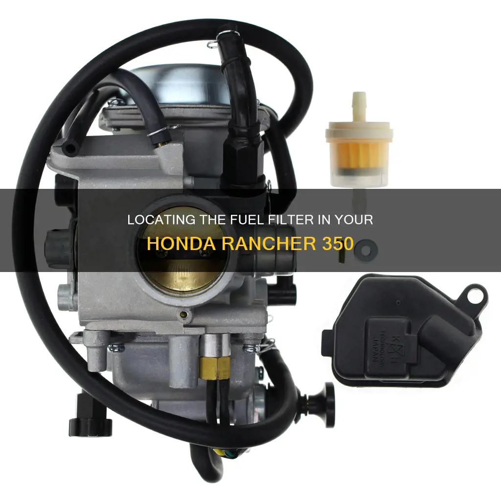 where is the fuel filter on a honda rancher 350