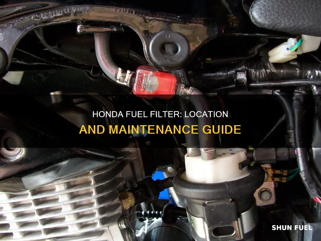 where is the fuel filter on a honda