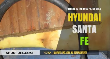 Santa Fe Fuel Filter: Location and Access