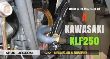 Kawasaki KLF250 Fuel Filter: Location and Access