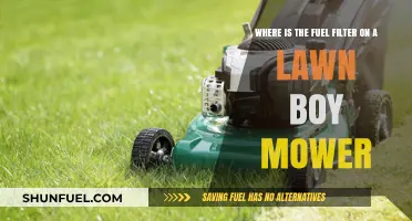 Locate the Fuel Filter on Your Lawn-Boy Mower