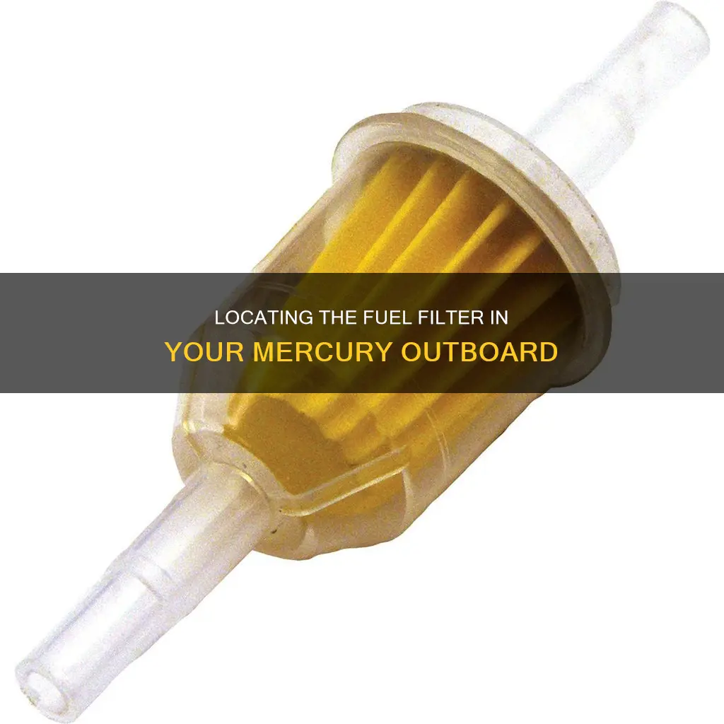 where is the fuel filter on a mercury outboard