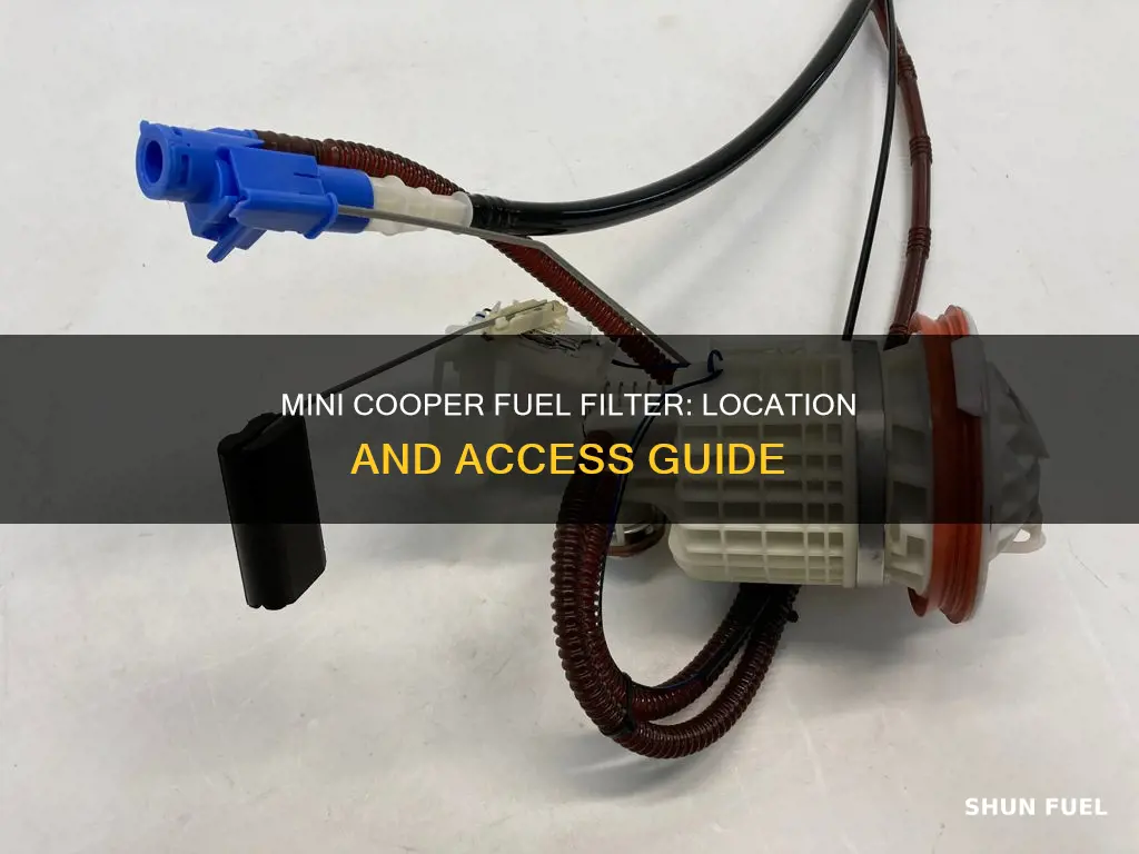 where is the fuel filter on a mini cooper