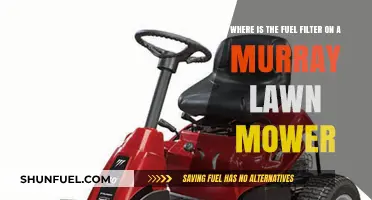 Murray Lawn Mower Fuel Filter: Where is it?