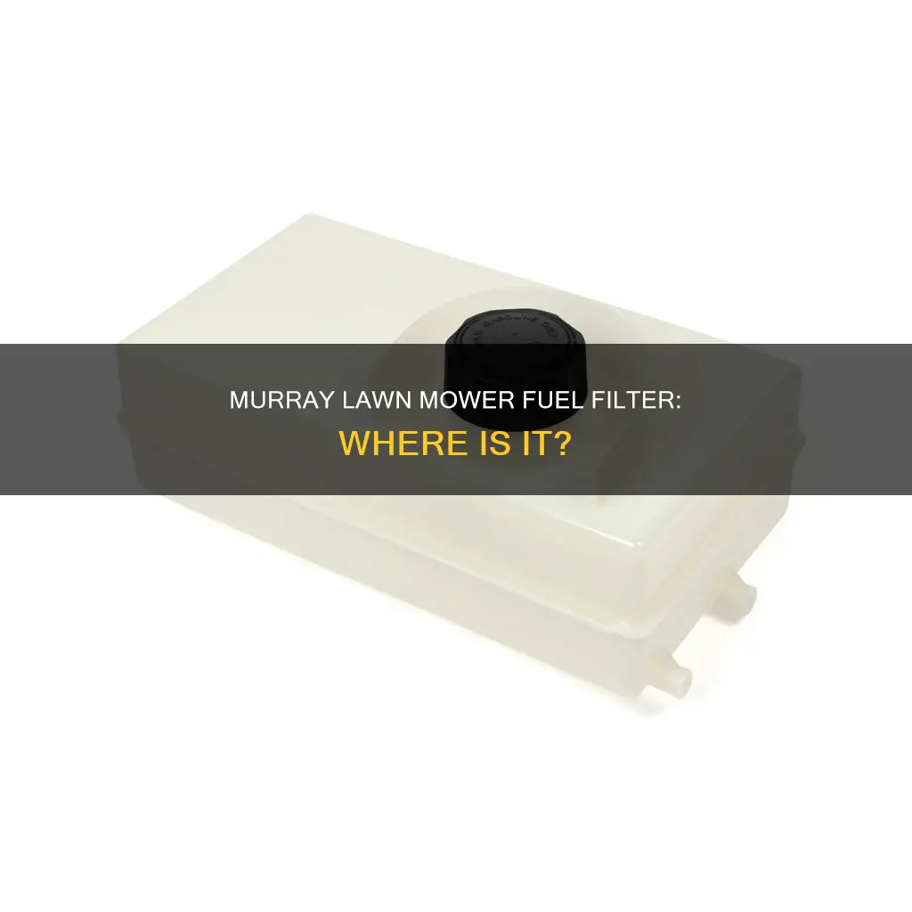 where is the fuel filter on a murray lawn mower