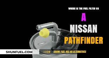 Nissan Pathfinder Fuel Filter: Location and Access