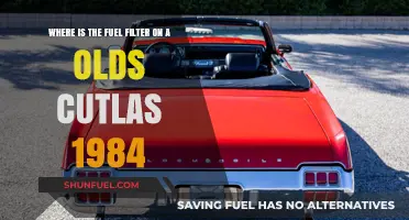 Locating the Fuel Filter in a 1984 Olds Cutlass