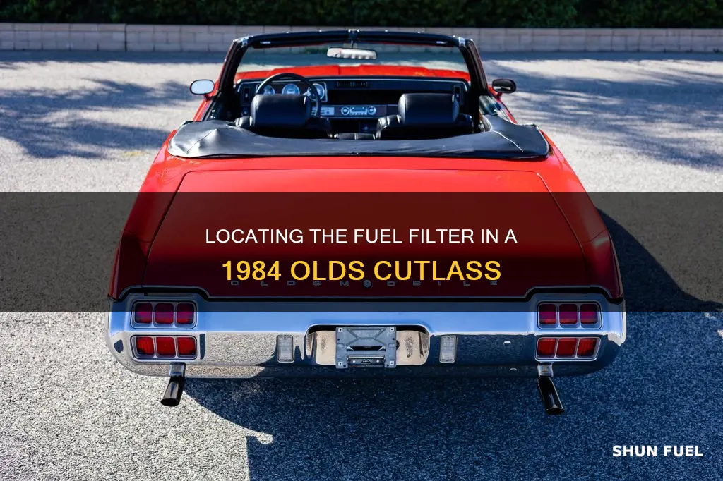 where is the fuel filter on a olds cutlas 1984
