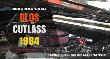 Locating the Fuel Filter in a 1984 Olds Cutlass