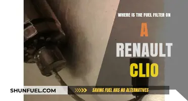 Renault Clio Fuel Filter: Location Guide