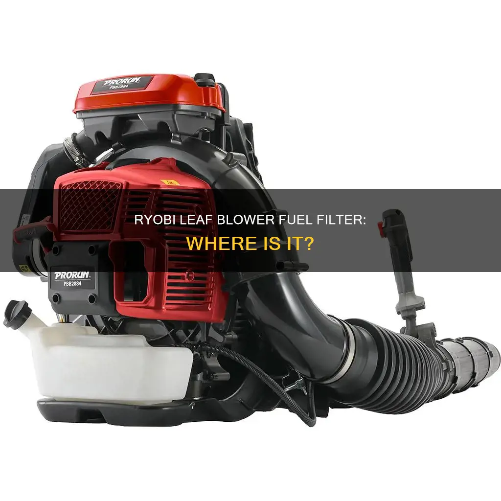 where is the fuel filter on a ryobi leaf blower