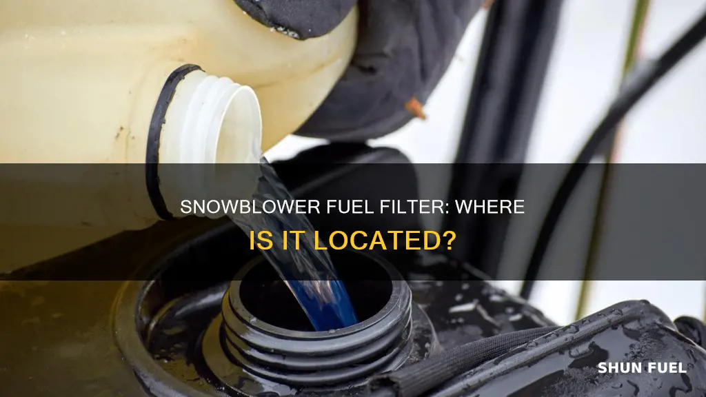where is the fuel filter on a snowblower
