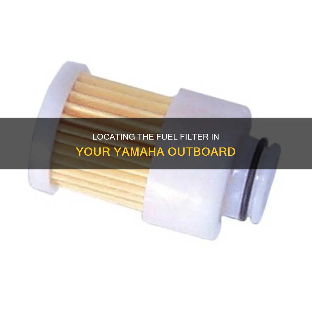 where is the fuel filter on a yamaha outboard