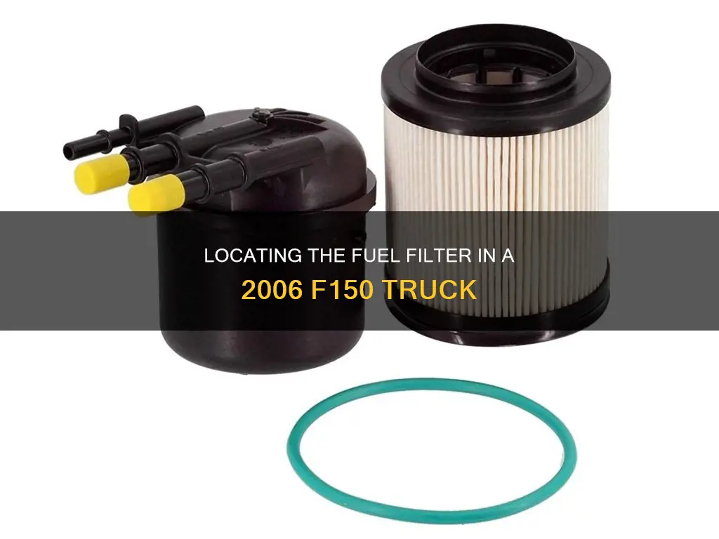 where is the fuel filter on a2006 f150