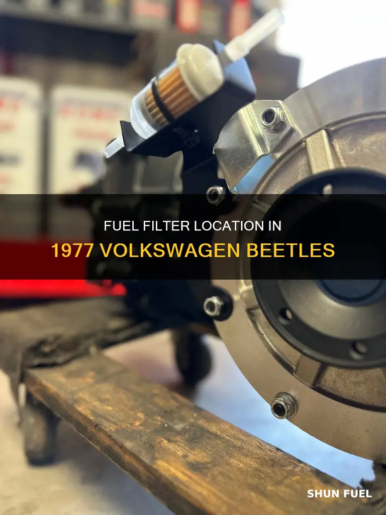 where is the fuel filter on my 1977 volkswagen beetle