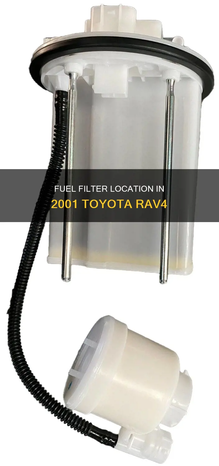 where is the fuel filter on my 2001 rav4
