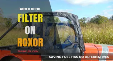 Roxor Fuel Filter Location and Access Guide