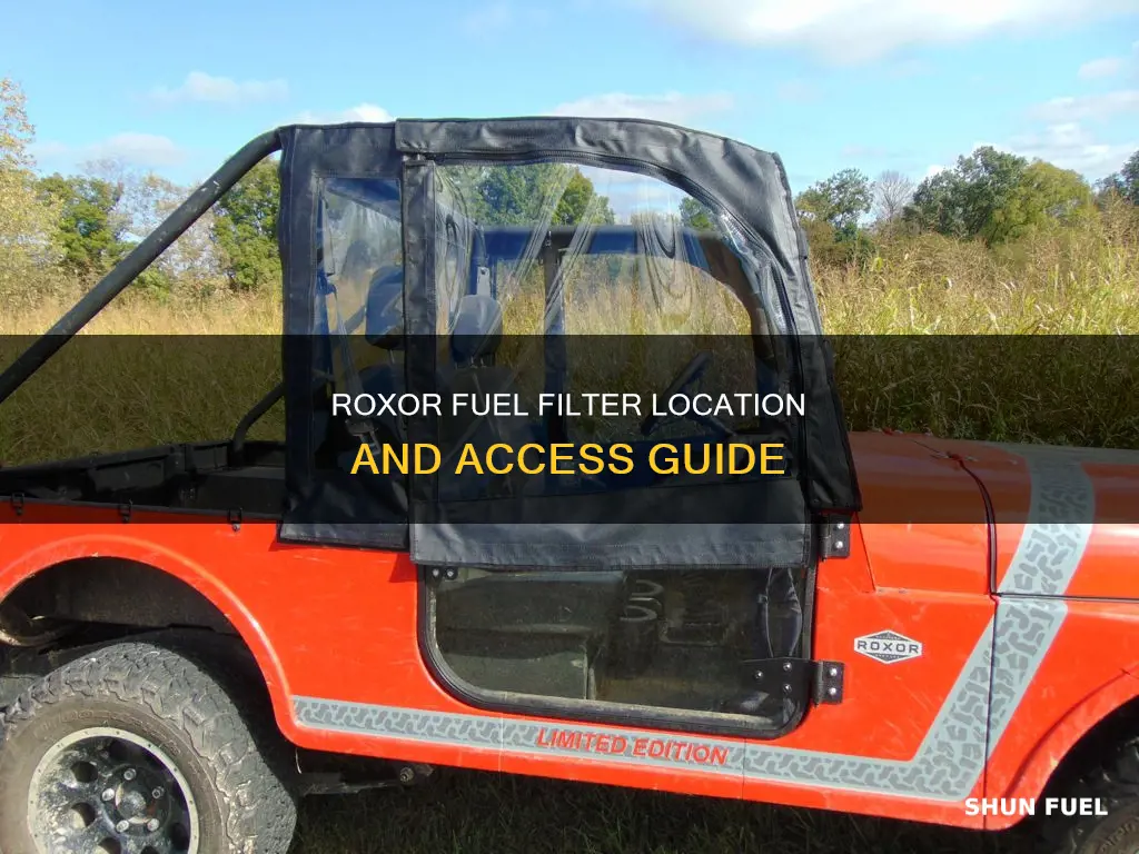 where is the fuel filter on roxor